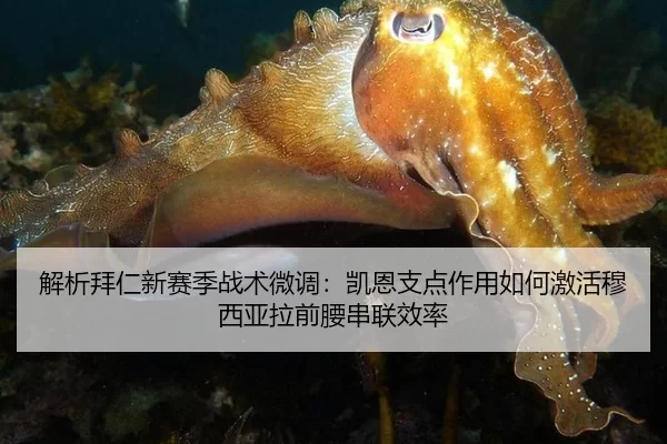 解析拜仁新赛季战术微调：凯恩支点作用如何激活穆西亚拉前腰串联效率